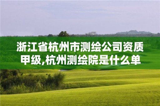 浙江省杭州市测绘公司资质甲级,杭州测绘院是什么单位