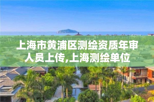 上海市黄浦区测绘资质年审人员上传,上海测绘单位