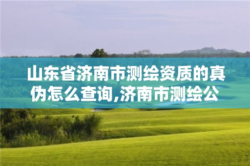 山东省济南市测绘资质的真伪怎么查询,济南市测绘公司