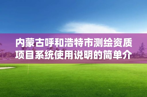 内蒙古呼和浩特市测绘资质项目系统使用说明的简单介绍