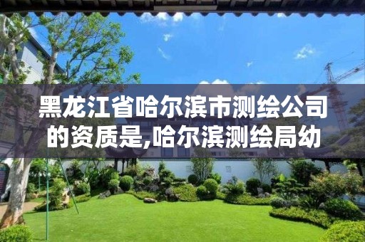 黑龙江省哈尔滨市测绘公司的资质是,哈尔滨测绘局幼儿园是民办还是公办