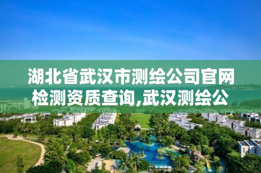 湖北省武汉市测绘公司官网检测资质查询,武汉测绘公司有哪些。