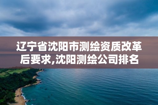 辽宁省沈阳市测绘资质改革后要求,沈阳测绘公司排名