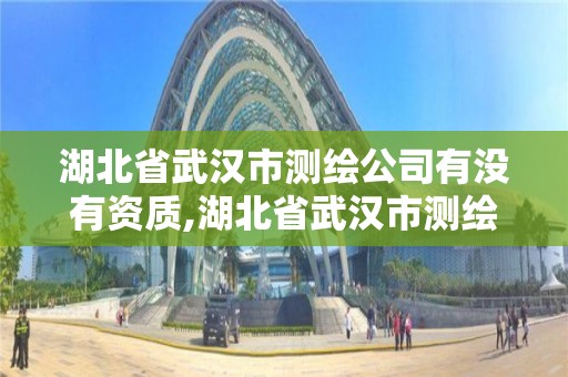 湖北省武汉市测绘公司有没有资质,湖北省武汉市测绘公司有没有资质公司