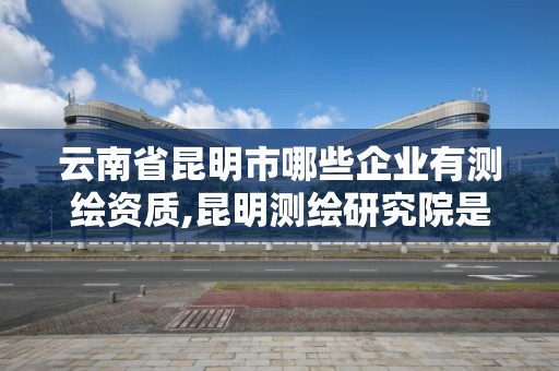 云南省昆明市哪些企业有测绘资质,昆明测绘研究院是干什么的