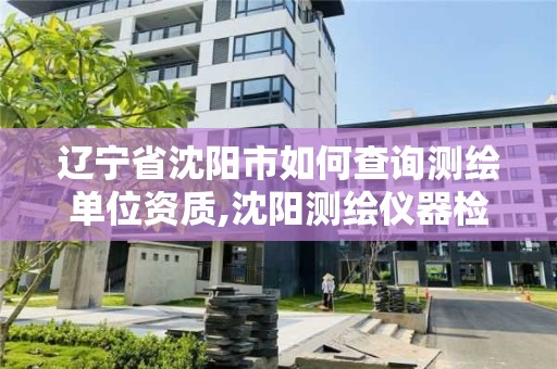 辽宁省沈阳市如何查询测绘单位资质,沈阳测绘仪器检测单位