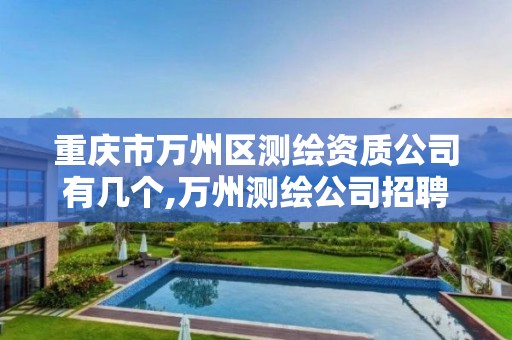 重庆市万州区测绘资质公司有几个,万州测绘公司招聘。