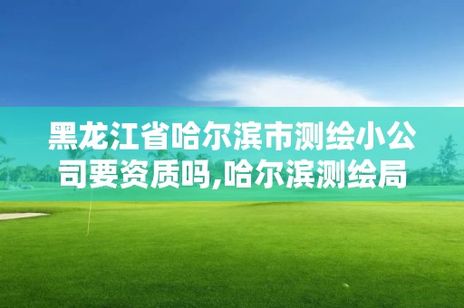 黑龙江省哈尔滨市测绘小公司要资质吗,哈尔滨测绘局是干什么的。