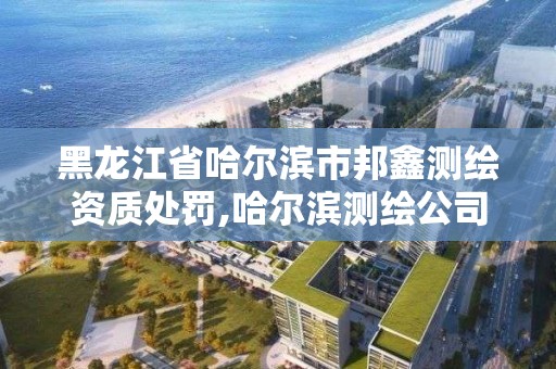 黑龙江省哈尔滨市邦鑫测绘资质处罚,哈尔滨测绘公司电话