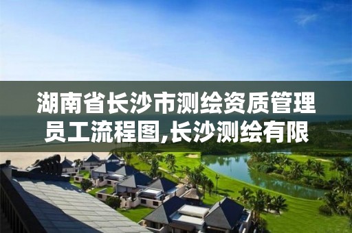 湖南省长沙市测绘资质管理员工流程图,长沙测绘有限公司待遇。