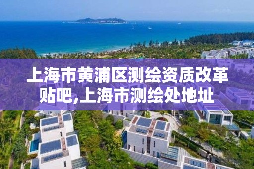 上海市黄浦区测绘资质改革贴吧,上海市测绘处地址