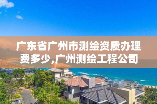 广东省广州市测绘资质办理费多少,广州测绘工程公司