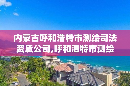 内蒙古呼和浩特市测绘司法资质公司,呼和浩特市测绘公司有哪些