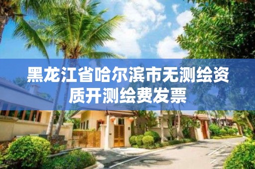 黑龙江省哈尔滨市无测绘资质开测绘费发票