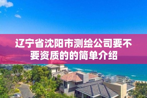 辽宁省沈阳市测绘公司要不要资质的的简单介绍