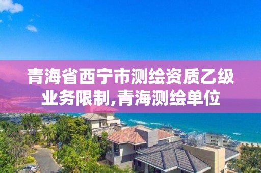 青海省西宁市测绘资质乙级业务限制,青海测绘单位