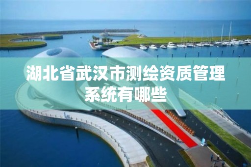 湖北省武汉市测绘资质管理系统有哪些