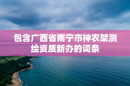 包含广西省南宁市神农架测绘资质新办的词条