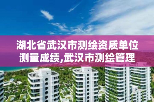 湖北省武汉市测绘资质单位测量成绩,武汉市测绘管理条例