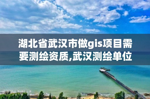 湖北省武汉市做gis项目需要测绘资质,武汉测绘单位