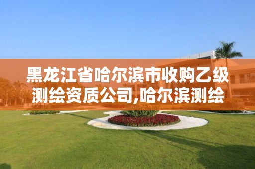 黑龙江省哈尔滨市收购乙级测绘资质公司,哈尔滨测绘公司招聘