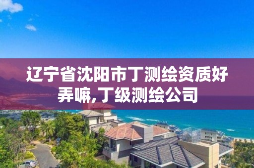 辽宁省沈阳市丁测绘资质好弄嘛,丁级测绘公司