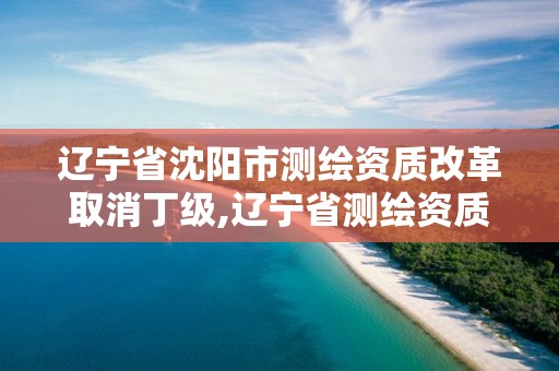 辽宁省沈阳市测绘资质改革取消丁级,辽宁省测绘资质延期