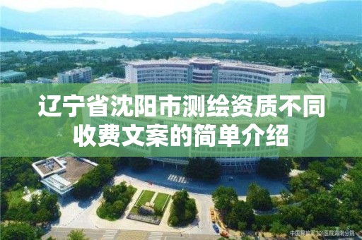 辽宁省沈阳市测绘资质不同收费文案的简单介绍