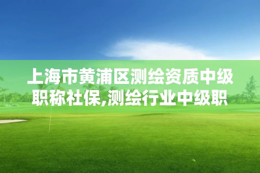 上海市黄浦区测绘资质中级职称社保,测绘行业中级职称