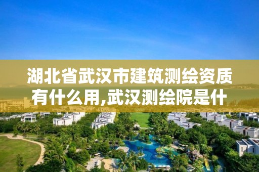 湖北省武汉市建筑测绘资质有什么用,武汉测绘院是什么级别