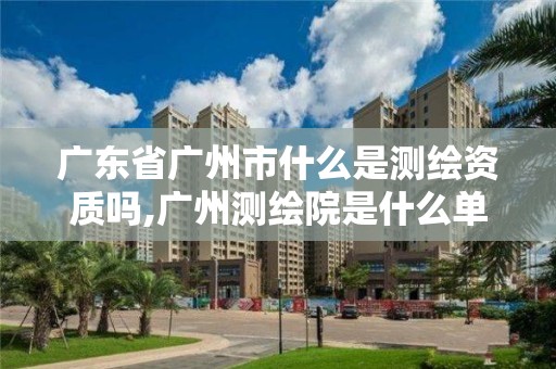 广东省广州市什么是测绘资质吗,广州测绘院是什么单位