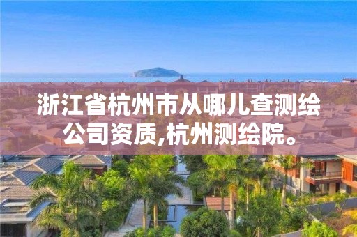 浙江省杭州市从哪儿查测绘公司资质,杭州测绘院。