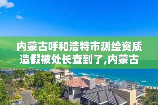 内蒙古呼和浩特市测绘资质造假被处长查到了,内蒙古测绘公司。