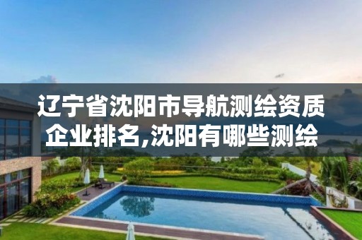 辽宁省沈阳市导航测绘资质企业排名,沈阳有哪些测绘公司招聘。