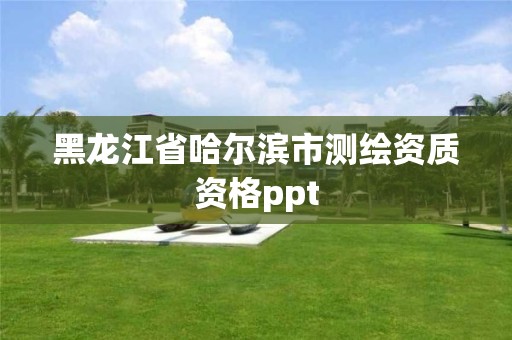 黑龙江省哈尔滨市测绘资质资格ppt