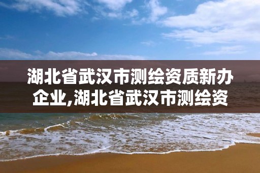 湖北省武汉市测绘资质新办企业,湖北省武汉市测绘资质新办企业名录