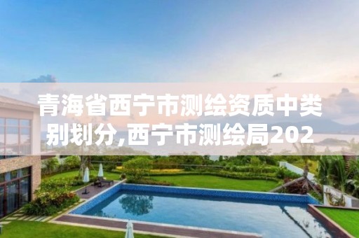 青海省西宁市测绘资质中类别划分,西宁市测绘局2020招聘