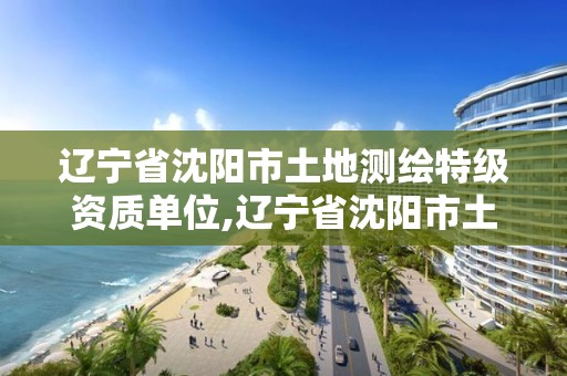 辽宁省沈阳市土地测绘特级资质单位,辽宁省沈阳市土地测绘特级资质单位有哪些