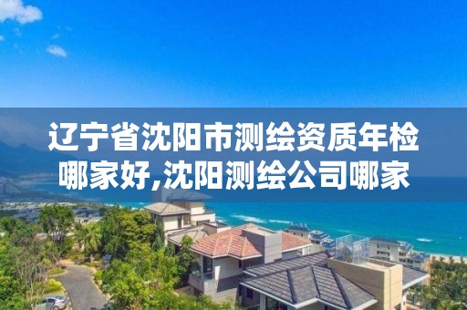 辽宁省沈阳市测绘资质年检哪家好,沈阳测绘公司哪家强哪家好