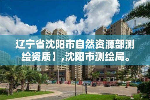 辽宁省沈阳市自然资源部测绘资质】,沈阳市测绘局。