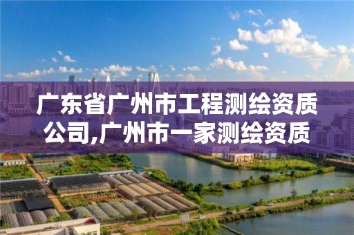 广东省广州市工程测绘资质公司,广州市一家测绘资质单位