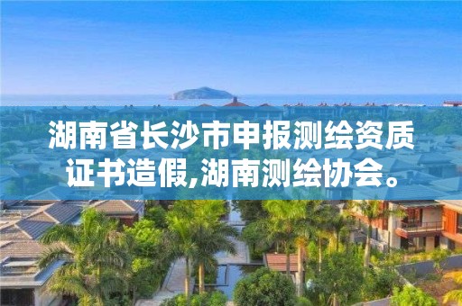 湖南省长沙市申报测绘资质证书造假,湖南测绘协会。