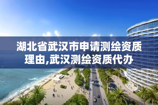 湖北省武汉市申请测绘资质理由,武汉测绘资质代办