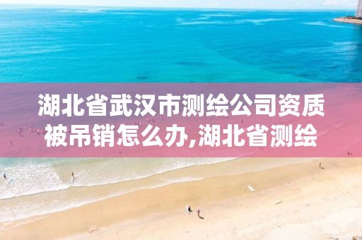 湖北省武汉市测绘公司资质被吊销怎么办,湖北省测绘资质管理系统