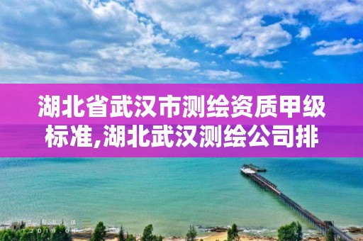 湖北省武汉市测绘资质甲级标准,湖北武汉测绘公司排行榜