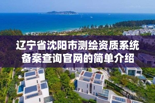 辽宁省沈阳市测绘资质系统备案查询官网的简单介绍