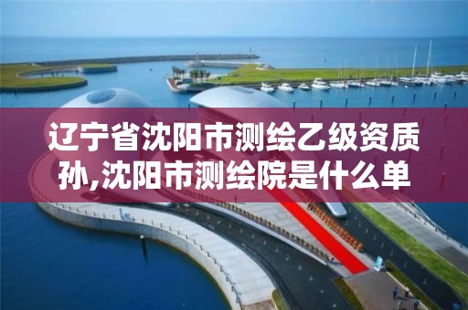 辽宁省沈阳市测绘乙级资质孙,沈阳市测绘院是什么单位