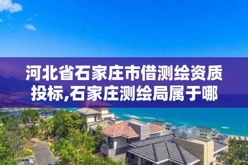 河北省石家庄市借测绘资质投标,石家庄测绘局属于哪个区