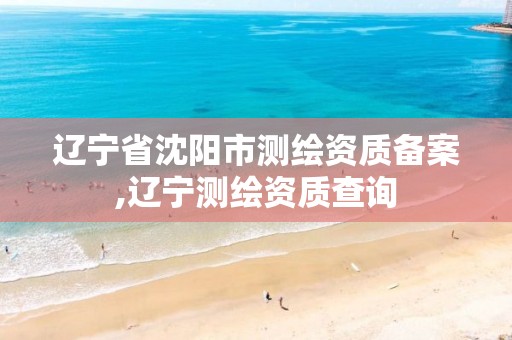 辽宁省沈阳市测绘资质备案,辽宁测绘资质查询