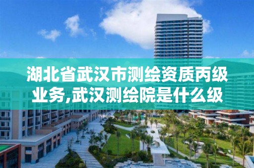 湖北省武汉市测绘资质丙级业务,武汉测绘院是什么级别